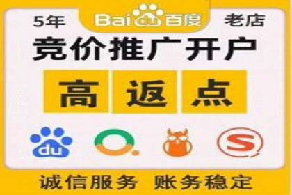 百度推广运营策略解析及成功案例分享